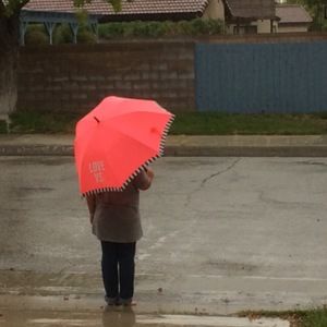 Meet your Posher, Cathy